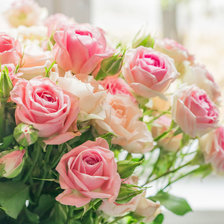 Схема вышивки «розы на светлом фоне»