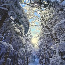 Схема вышивки «зима»