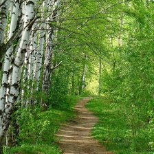 Схема вышивки «Летний лес»