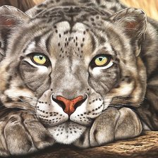 Схема вышивки «мир животных.»