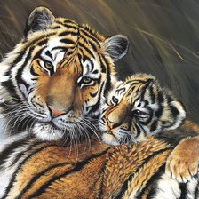 Схема вышивки «тигры»