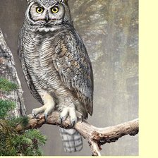 Схема вышивки «№2223975»