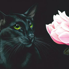 Схема вышивки «Кот.»