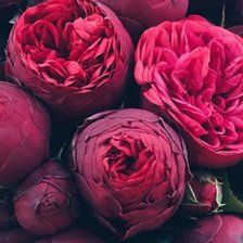 Схема вышивки «Цветы»