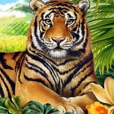 Схема вышивки «Tigre.»