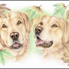 Схема вышивки «№2224626»