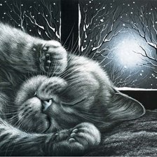 Схема вышивки «Котик  в ночь»