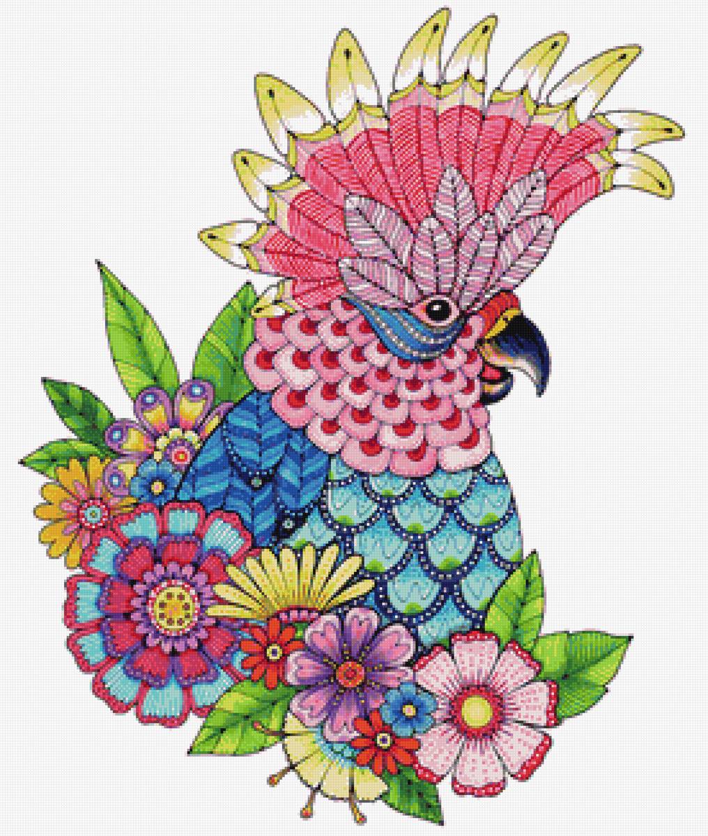 Попугай - предпросмотр