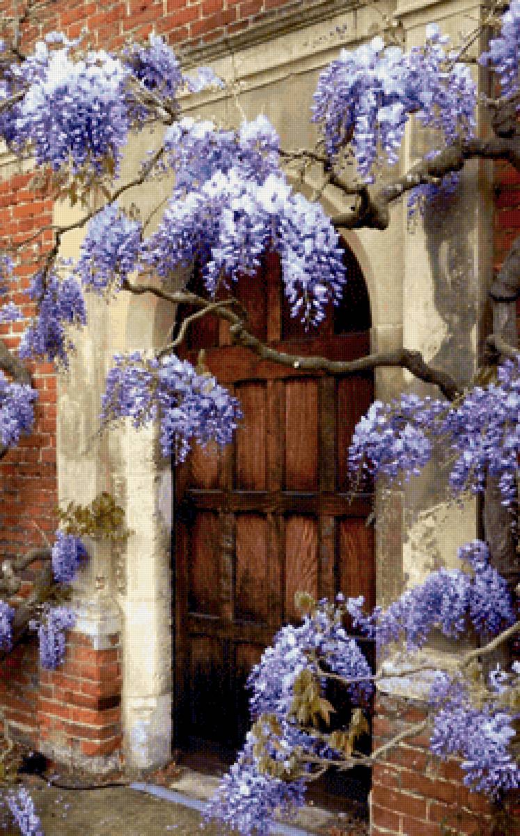 №2224759 - двери, деревья, глициния - предпросмотр