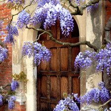 Схема вышивки «№2224759»