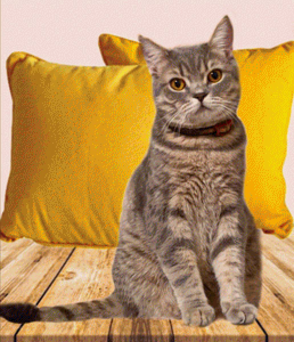 кот 2 - кот и подушки 2 - предпросмотр