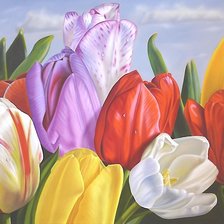 Схема вышивки «тюльпаны»