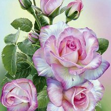 Схема вышивки «розы»