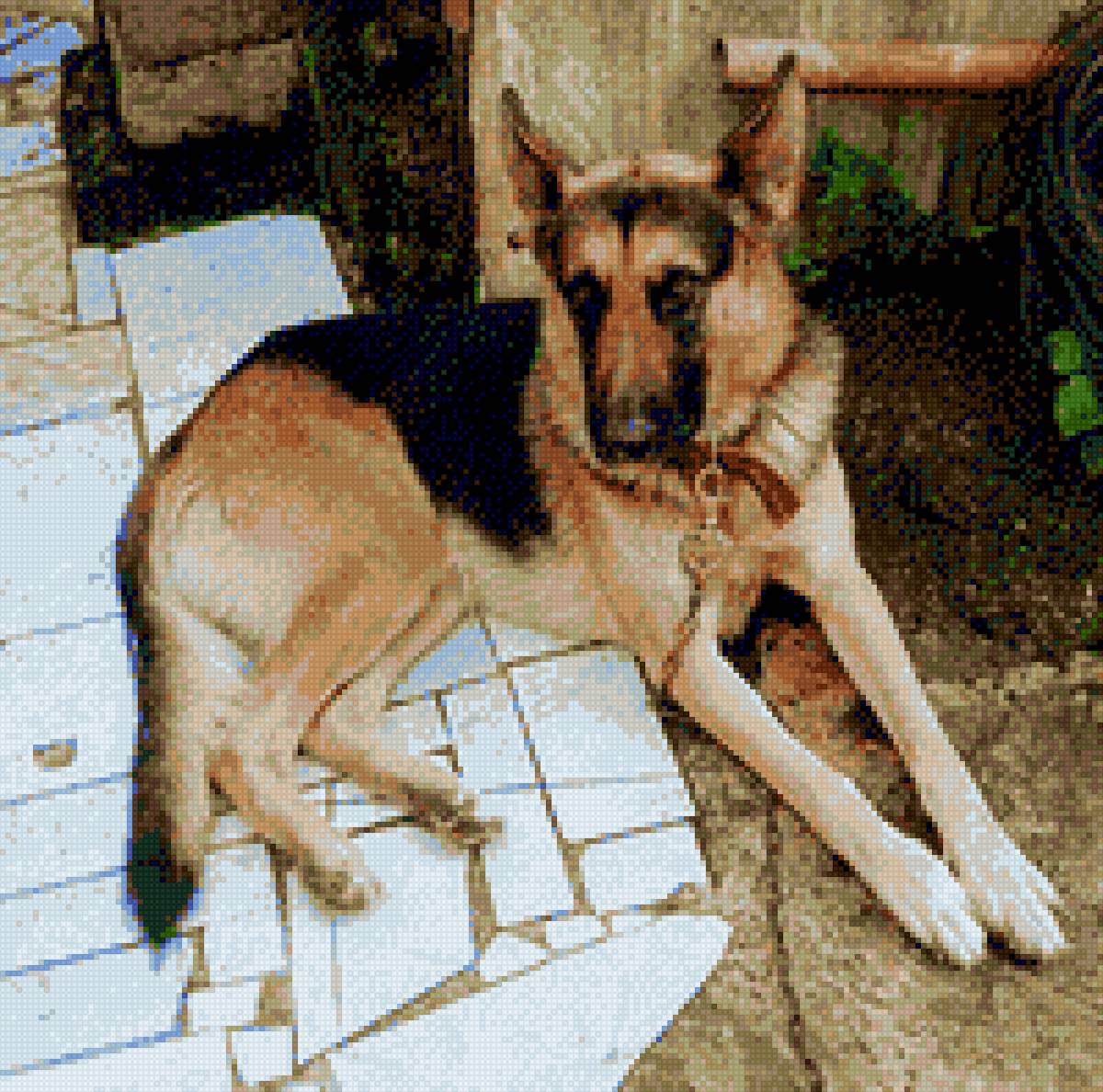 perrito - amor - предпросмотр