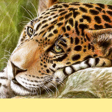 Схема вышивки «Серия "Хищники".»