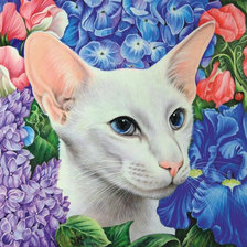 Схема вышивки «Кот.»