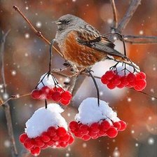 Схема вышивки «Зимние зарисовки»