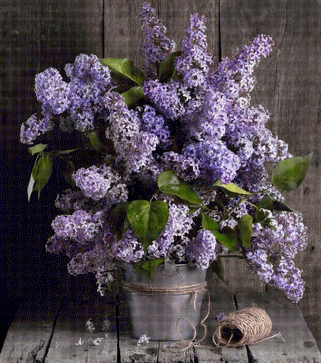 Цветы - предпросмотр