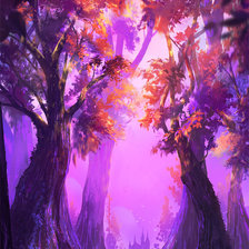 Рассвет в лесу