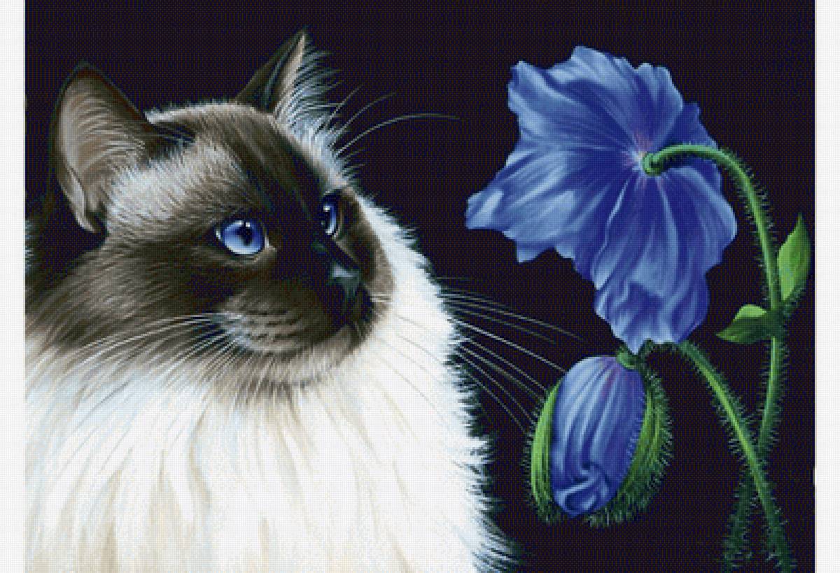 Кот. - живопись. - предпросмотр