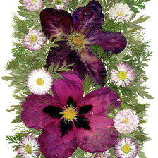 Схема вышивки «№2226168»