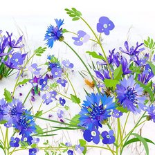 Схема вышивки «№2226230»