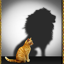 Схема вышивки «Страшнее кошки зверя нет.»