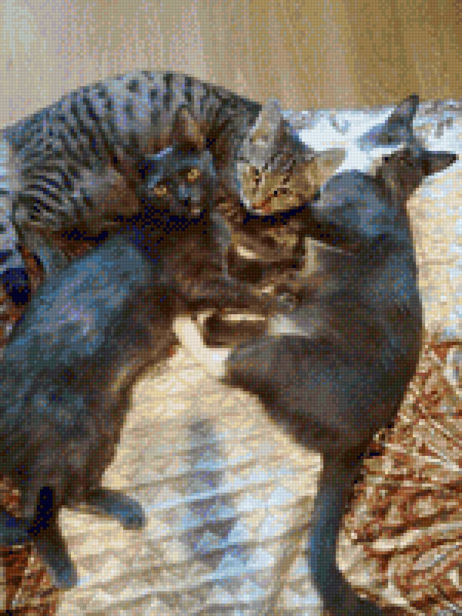 Кошки - кошки - предпросмотр