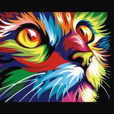 Схема вышивки «Кот-попугай, Радужный Кот Ваю Ромдони»