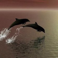 Схема вышивки «Дельфины-2»