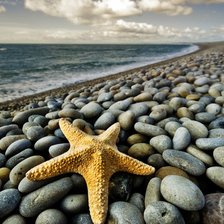 Схема вышивки «Море»