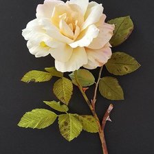 Схема вышивки «цветы»