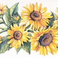 Схема вышивки «Girasoles»