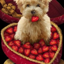 Схема вышивки «валентинка»