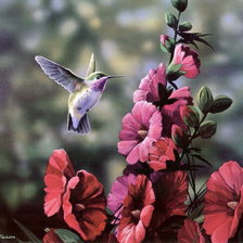 Схема вышивки «Птица 1»