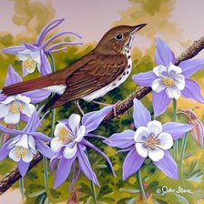 Схема вышивки «Птица 2»