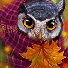 Схема вышивки «Coruja no inverno.»