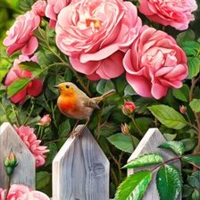 Схема вышивки «Птичка»