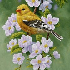 Схема вышивки «Птичка»