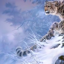 Схема вышивки «Ирбисы(часть1)»