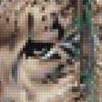 Предпросмотр схемы вышивки «Ирбисы» (№2228869)