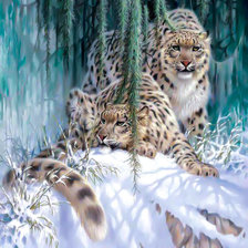 Схема вышивки «Ирбисы»