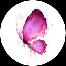 Схема вышивки «Бабочка»