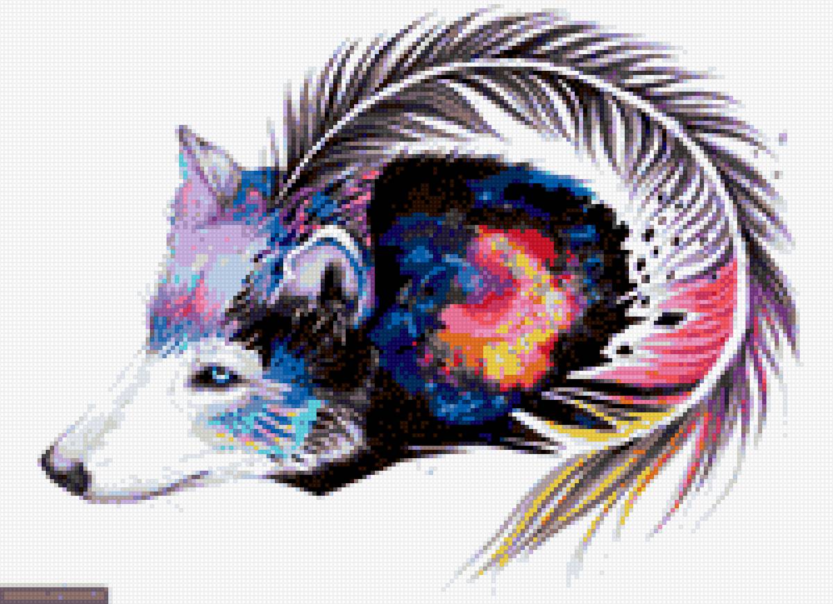 Волк - волк перо красивый радужный цветной - предпросмотр