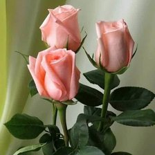 Схема вышивки «№2229150»