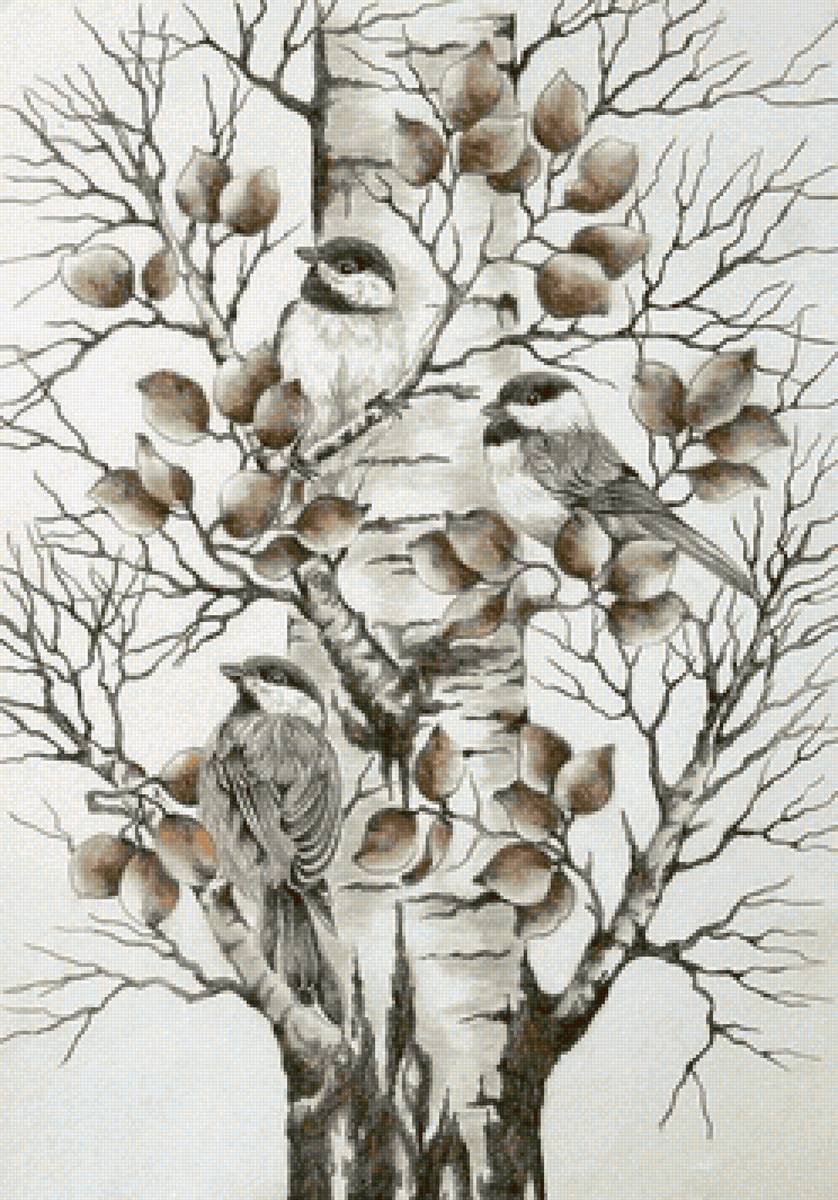 №2229222 - воробьи - предпросмотр