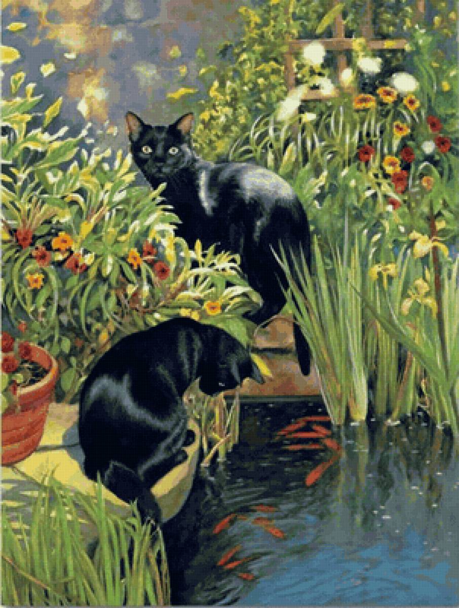 КОТИКИ - предпросмотр