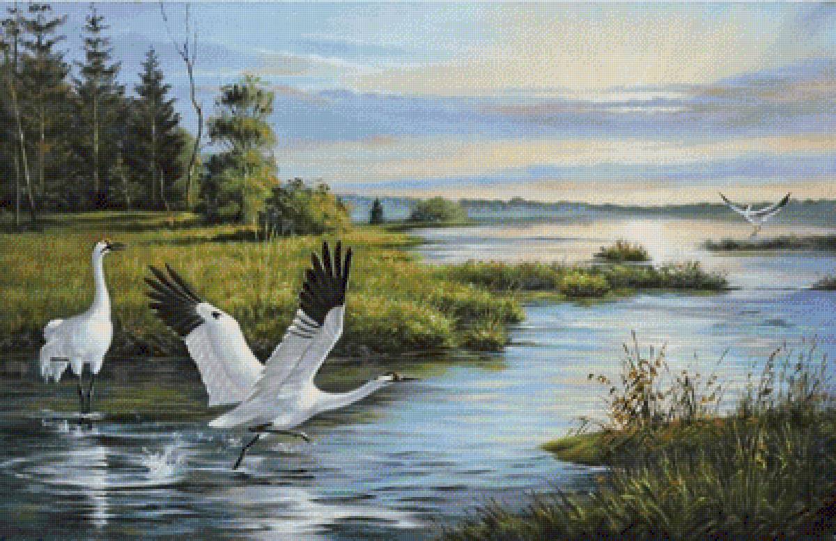 журавли - журавли птицы природа - предпросмотр