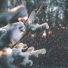 Схема вышивки «зима»