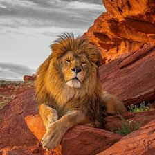 Схема вышивки «лев»